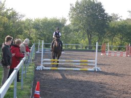 img_0151_web